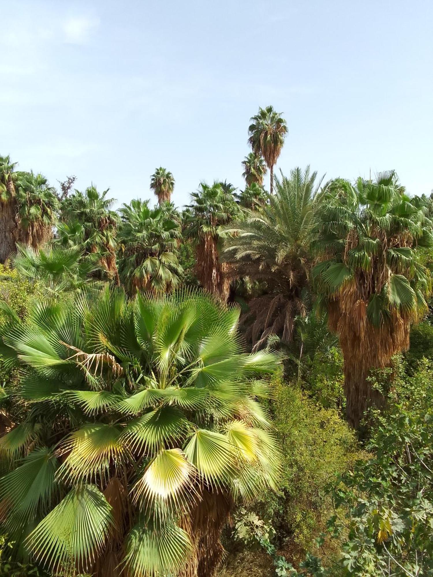 The Garden House - Medina Hotell Marrakesh Exteriör bild